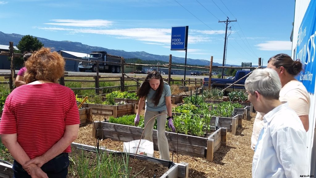 What you need to know about high-altitude homesteading