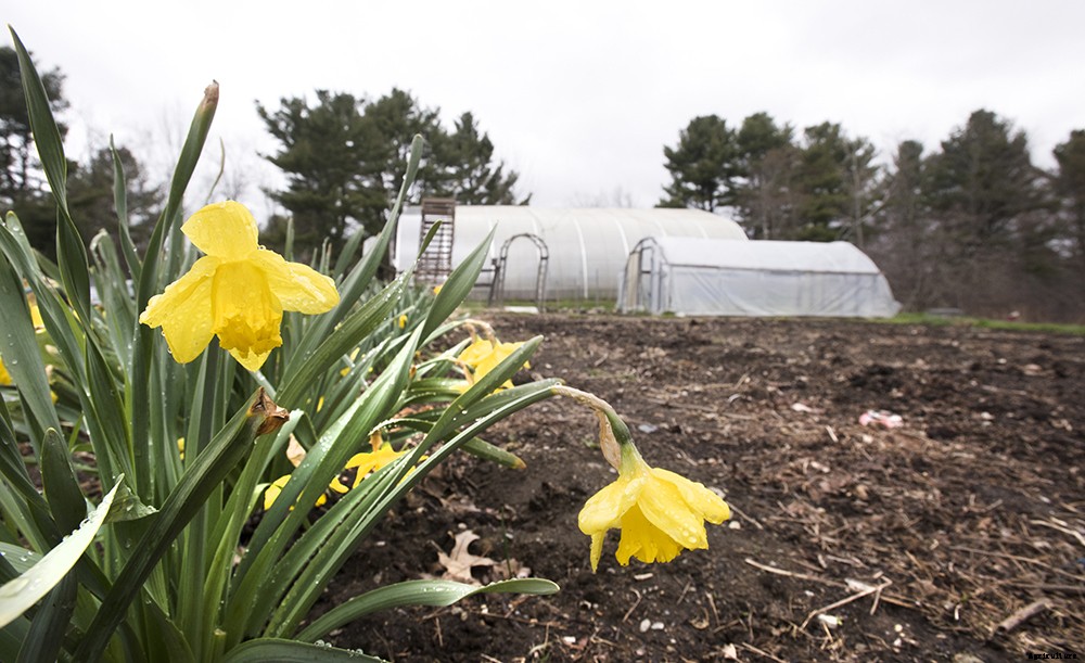 What you should know about healthy garden soil