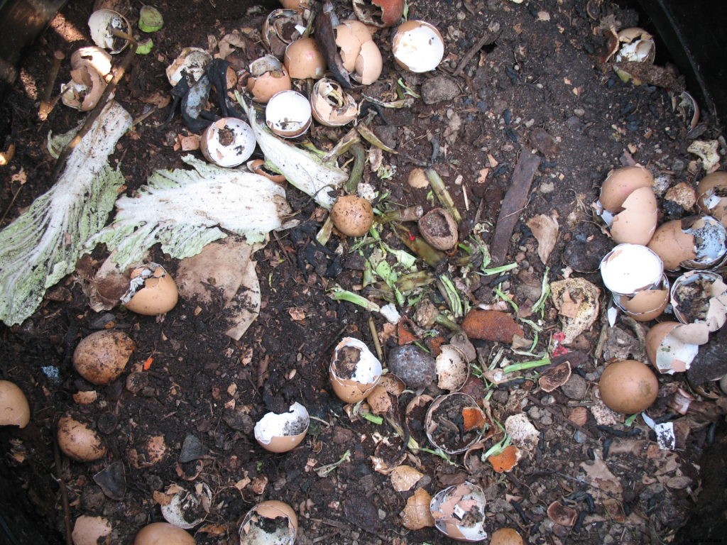 8 things you can compost that might surprise you