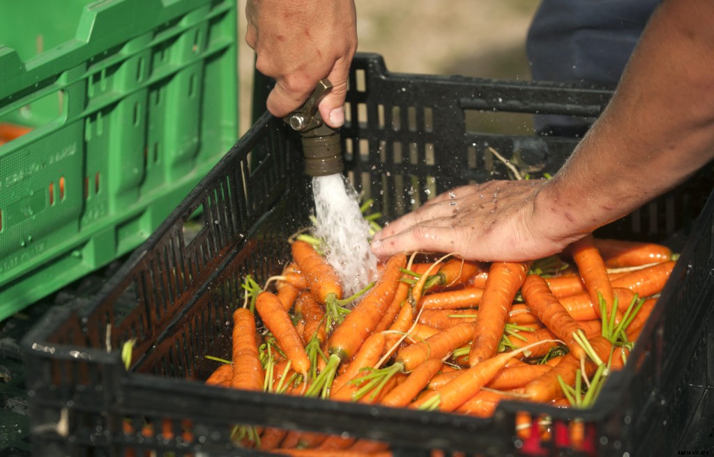6 farm apprenticeships available for 2019
