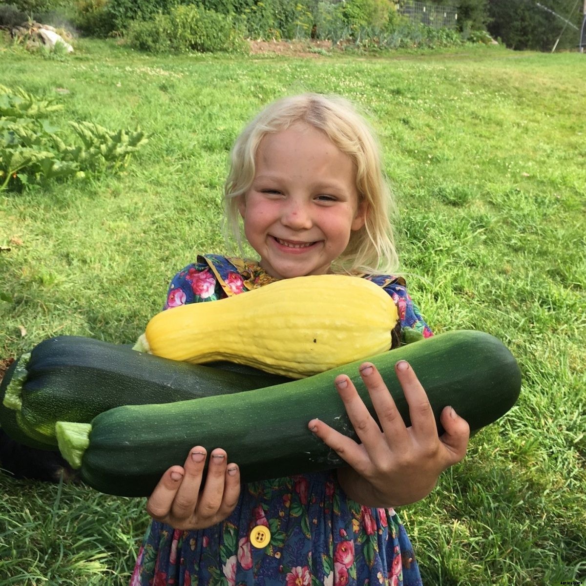 Choosing the right projects, chores for homesteading kids