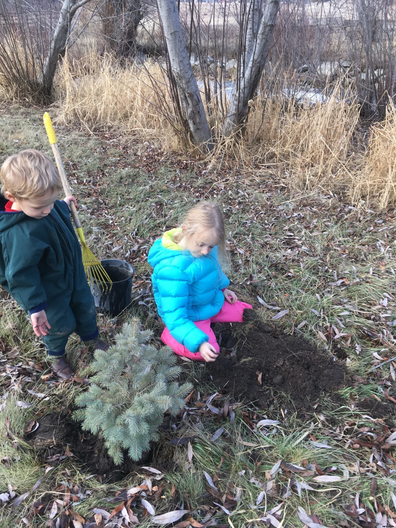 Choosing the right projects, chores for homesteading kids