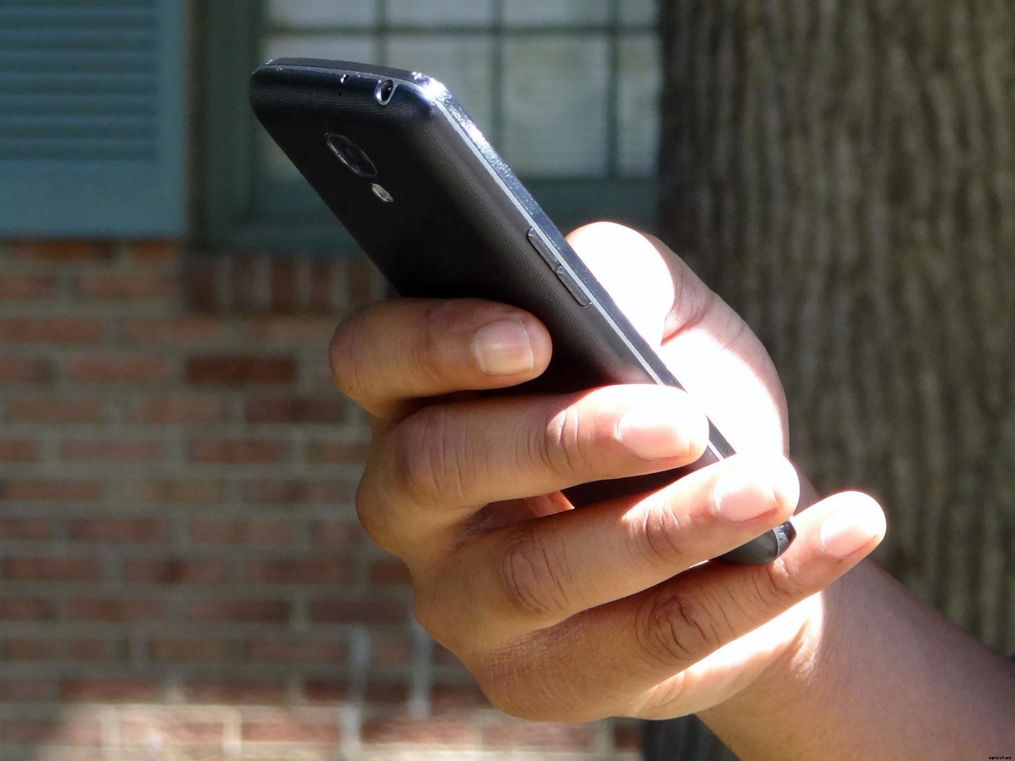 6 homesteading apps to optimize your life