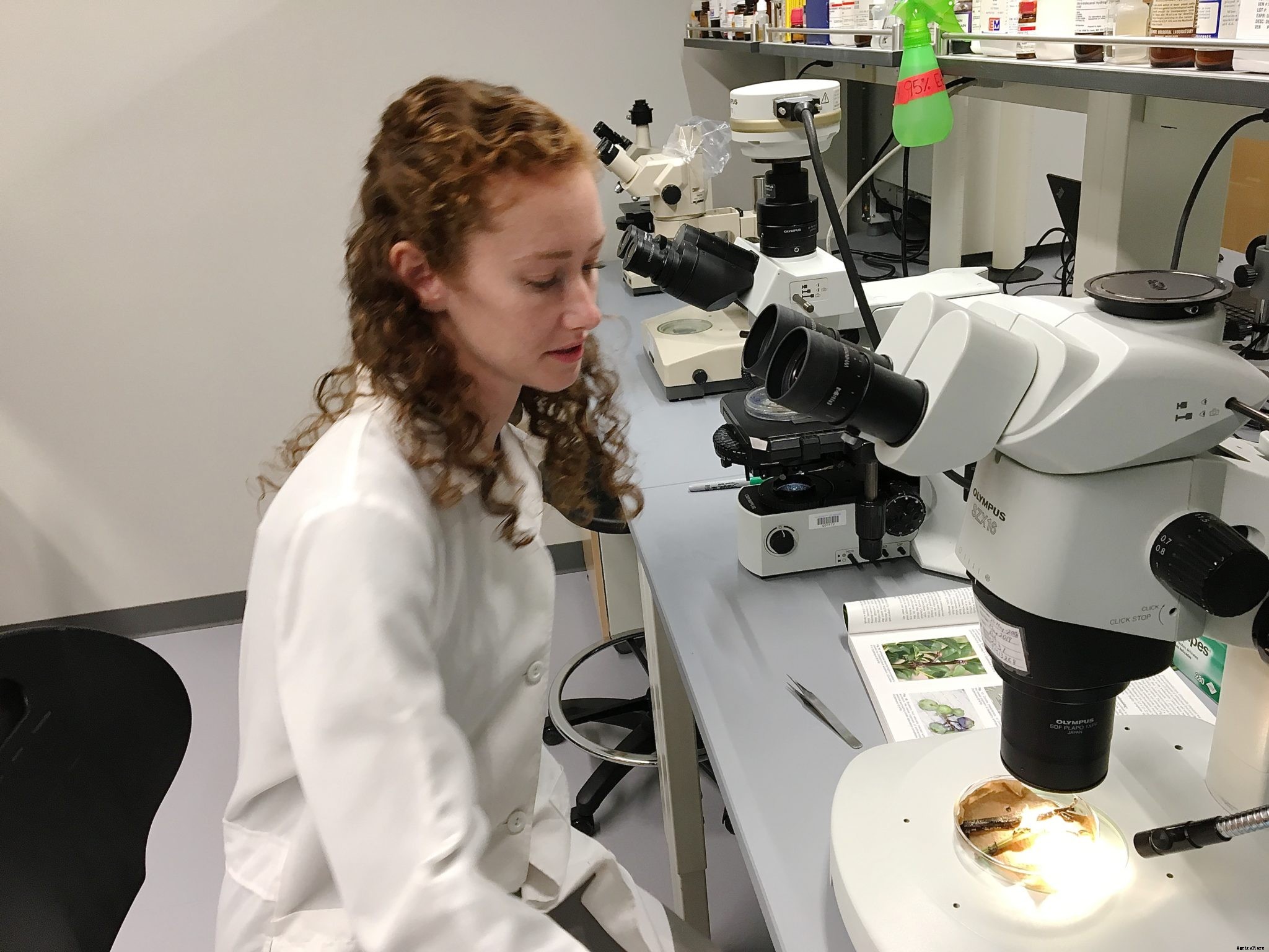 How a cooperative extension can help your homesteading efforts