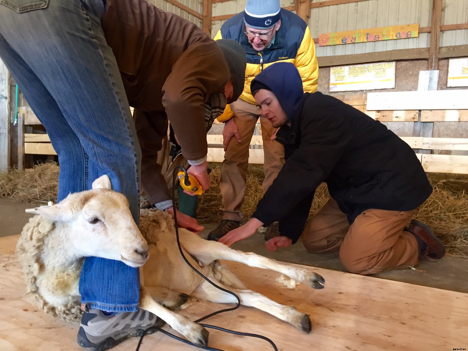 How a cooperative extension can help your homesteading efforts