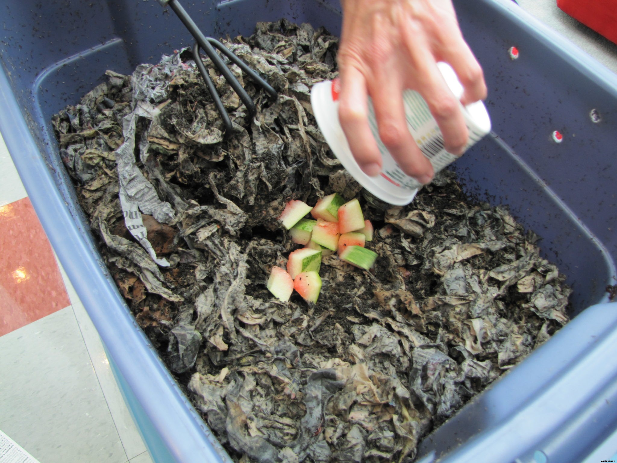 What you need to know about vermicompost