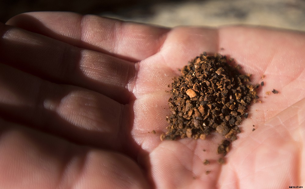 Don’t throw out those used coffee grounds