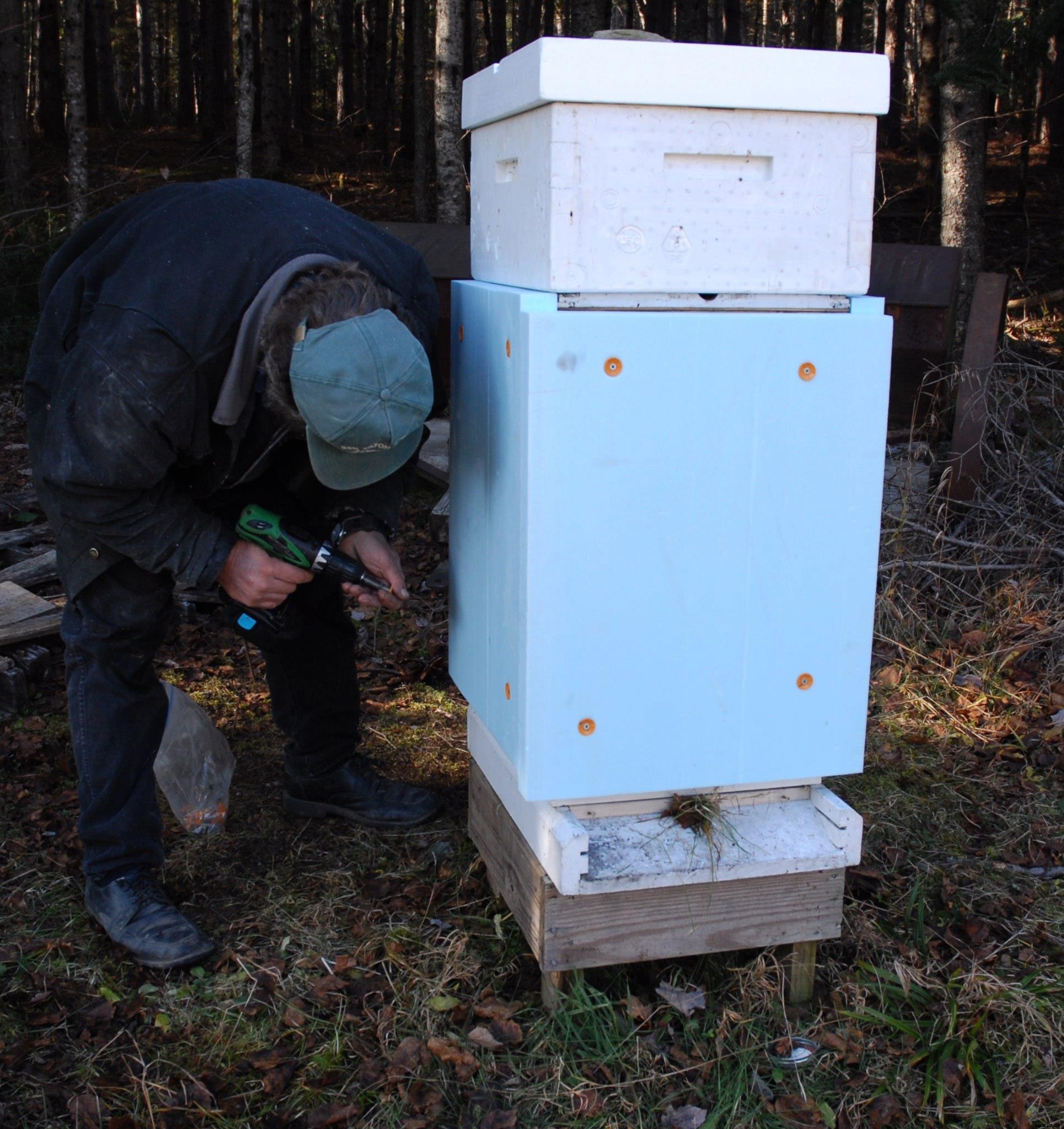 What happens to bees in winter?