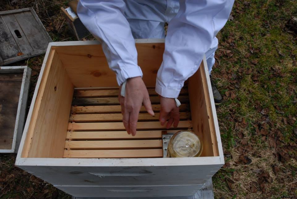 What happens to bees in winter?