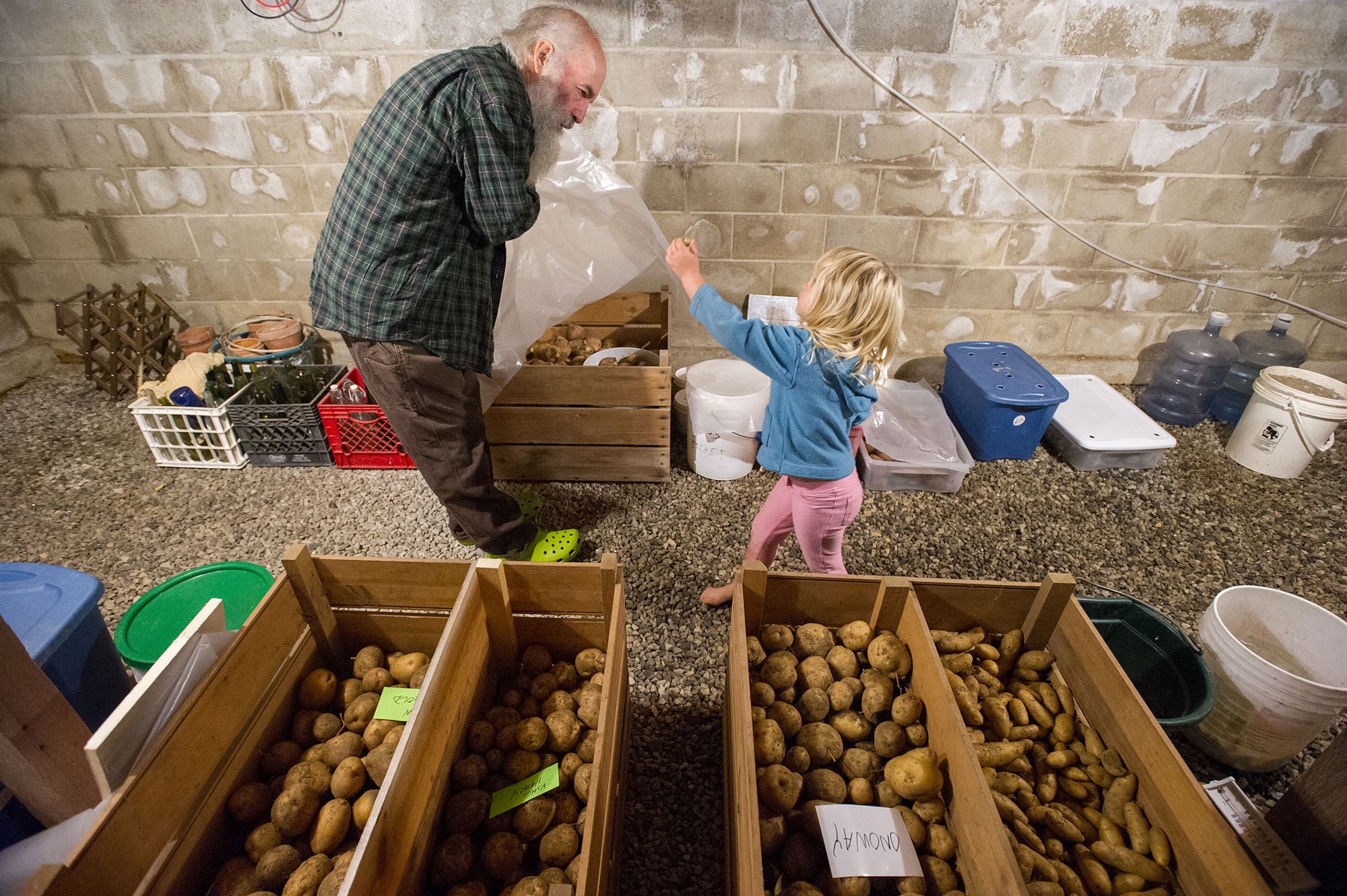 How to make DIY root cellar storage