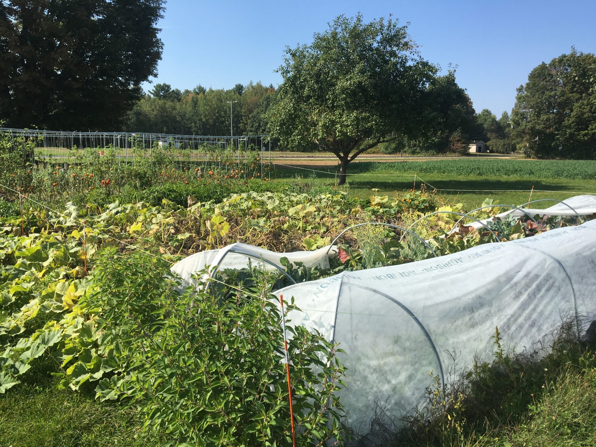 This is what should be on your fall gardening to-do list