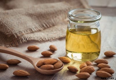 Almond Oil Information: Tips For Using Almond Oil