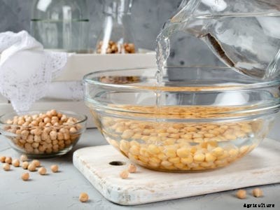 Soaking Dry Beans – Why Do You Soak Dry Beans Before Cooking