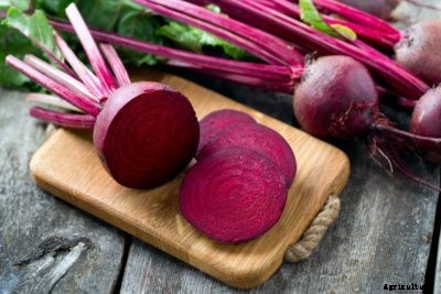 Making Beets Sweet: Tips For Growing Beets That Are Sweeter