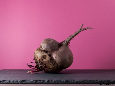 Deformed Beets: Reasons Why Beets Are Too Small Or Deformed