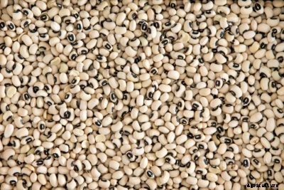 What Are Field Peas: Growing Different Types Of Field Peas