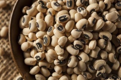 How To Harvest Black Eyed Peas – Tips For Picking Black Eyed Peas