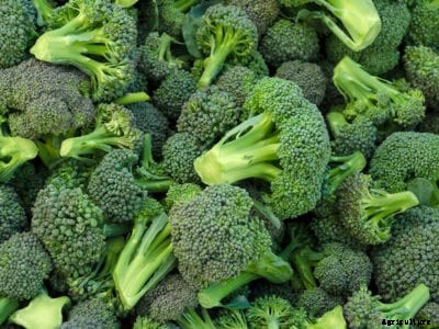 Preserving Broccoli – How To Store Broccoli After Harvest