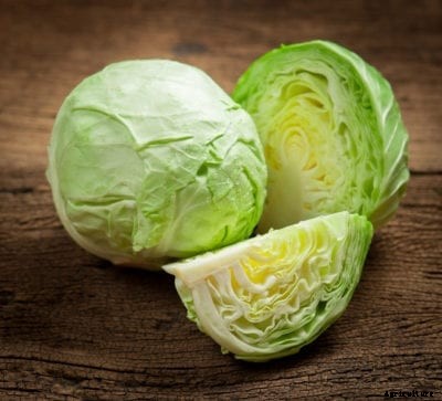 Capture F1 Cabbage – How To Grow A Capture Cabbage Plant