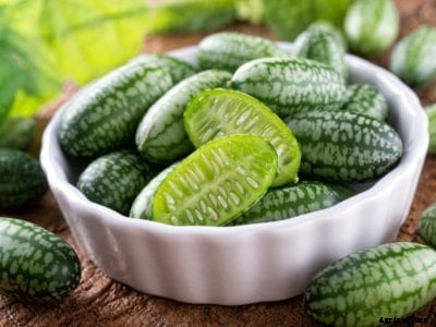 What Is Savoy Cabbage: Information On Growing Savoy Cabbage