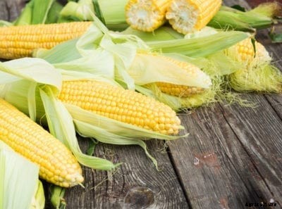 Sweet Corn Varieties – Top Sweet Corn Cultivars To Grow In Gardens