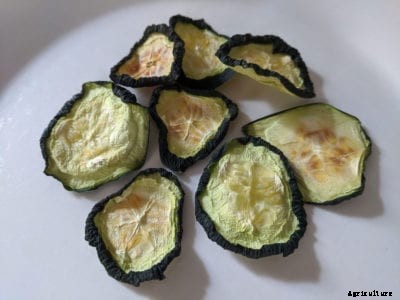 Dried Cucumber Ideas – Can You Eat Dehydrated Cucumbers