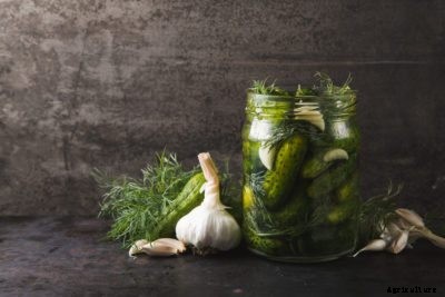 Herbs And Spices For Pickling – What Spices And Herbs Are In Pickles?