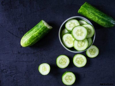 What Causes Bitter Cucumber