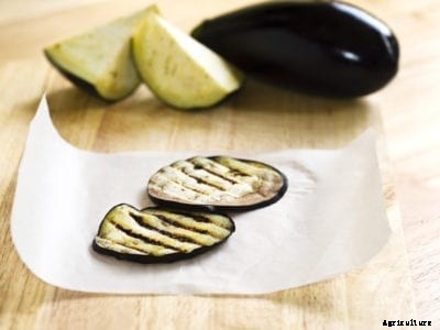 Mangan Eggplant Info: Tips For Growing Mangan Eggplants