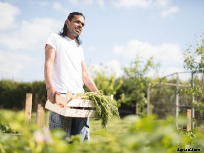 Harvesting Guide For Beginners – How To Harvest And Store Homegrown Produce