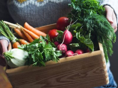 Harvesting In Winter: When To Pick Winter Vegetables