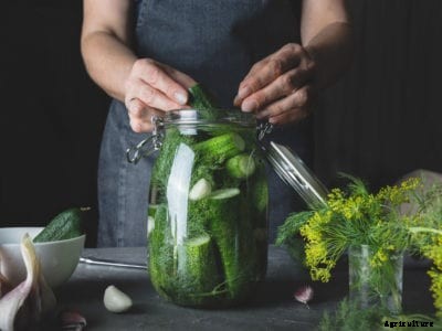 Food Preservation: Pickling And Canning Differences