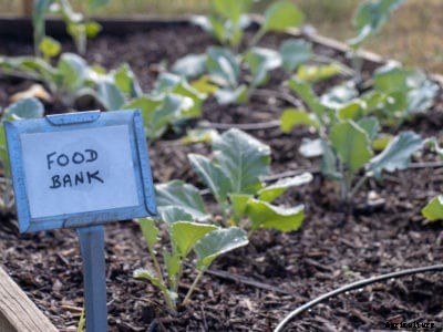 What Is A Food Bank – Learn About Gardening For Food Banks