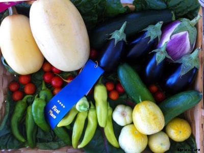 Vegetable Show Planning: How To Grow Show Vegetables For Competition