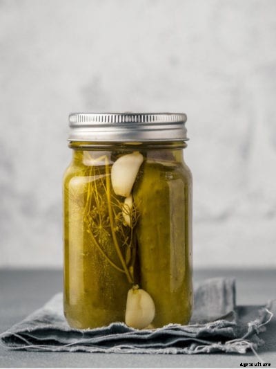 Vegetables And Vinegar: Vinegar Pickling Your Garden Produce