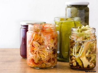 Can You Ferment Produce At Home: Fermenting Vegetables From The Garden