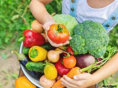 Signs Of Fresh Veggies – How To Tell If Vegetables Are Fresh