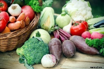 Keto Gardening – How To Plant A Keto-Friendly Garden