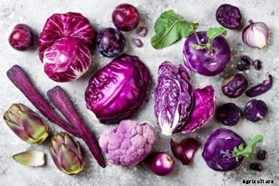Healthy Purple Foods: Should You Eat More Purple Fruits And Vegetables