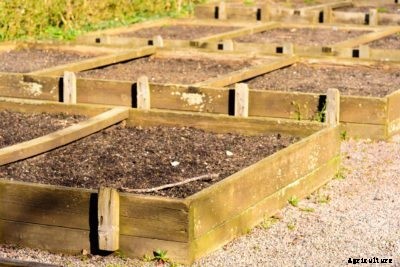 Raised Bed Soil Depth: How Much Soil Goes In A Raised Bed