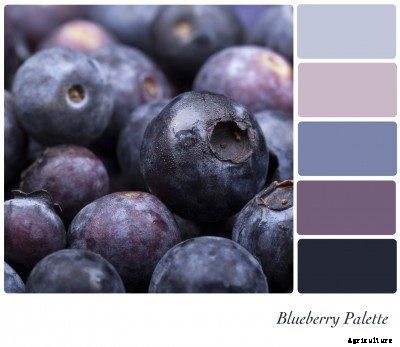 Fruit And Vegetable Plant Dyes: How To Make Natural Dyes From Food