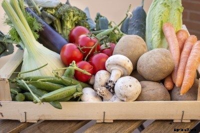 Sharing The Surplus Garden Harvest: What To Do With Extra Vegetables
