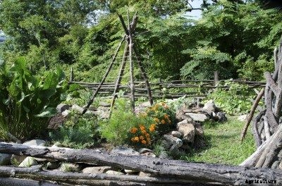 Teepee Garden Trellis: Using Teepee Structures In The Vegetable Garden