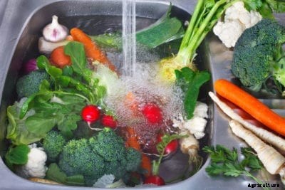 Washing Garden Vegetables: How To Clean Fresh Produce