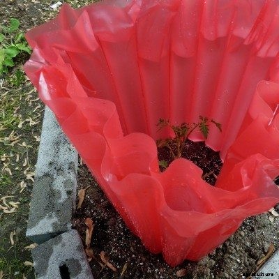 What Are Water Walls: Tips For Using A Wall Of Water For Plants