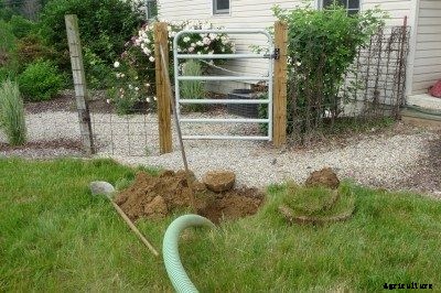 Septic Tank Vegetable Gardens – Tips For Gardening Over Septic Tanks