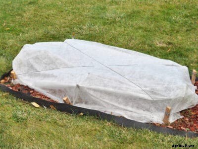 Row Covers For Garden Plants – How To Use Floating Row Covers In The Garden