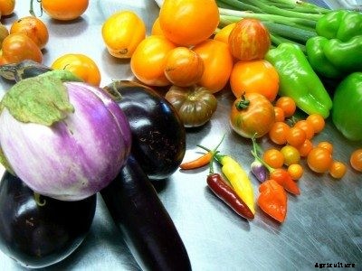 Learn More About Vegetables In The Nightshade Family