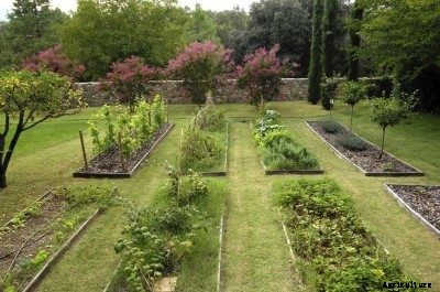 Where To Put A Garden: How To Choose The Location Of A Vegetable Garden