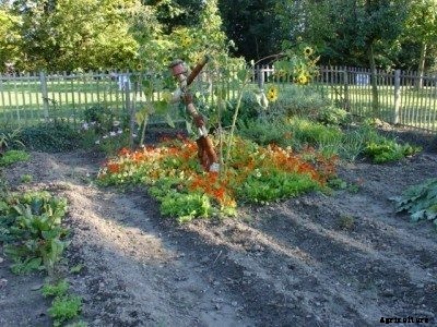 Unique Vegetable Garden Design Ideas